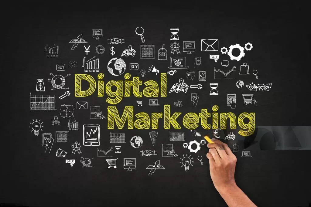 Digital Marketing Company in Noida